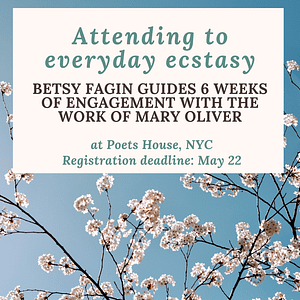Attending to everyday ecstasy. Betsy Fagin guides 6 weeks of engagement with the work of Mary Oliver at Poets House, NYC. Registration deadline May 22nd.