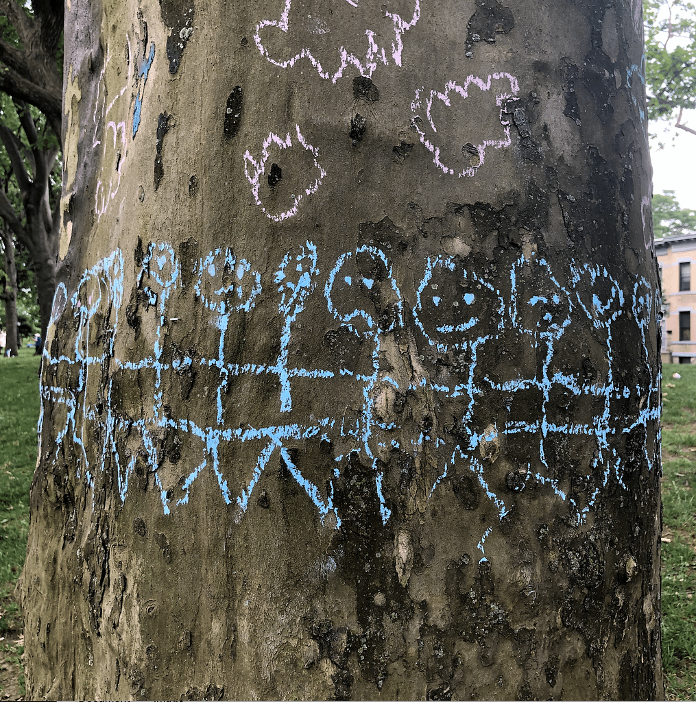 Stick figures with interlinking arms drawn in chalk around the trunk of an old plane tree